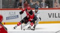 hokej2 suisse-france-095